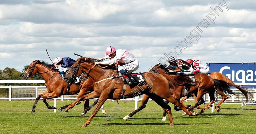 What-A-Welcome-0002 
 WHAT A WELCOME (3, Joey Haynes) beats YOU'RE HIRED (farside) in The Victoria Racing Club Handicap
Ascot 7 Sep 2018 - Pic Steven Cargill / Racingfotos.com