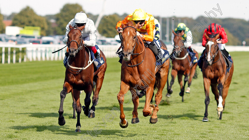 Sleeping-Lion-0003 
 SLEEPING LION (centre, Jamie Spencer) beats CHARLES KINGSLEY (left) in The William Hill Mallard Handicap
Doncaster 13 Sep 2019 - Pic Steven Cargill / Racingfotos.com