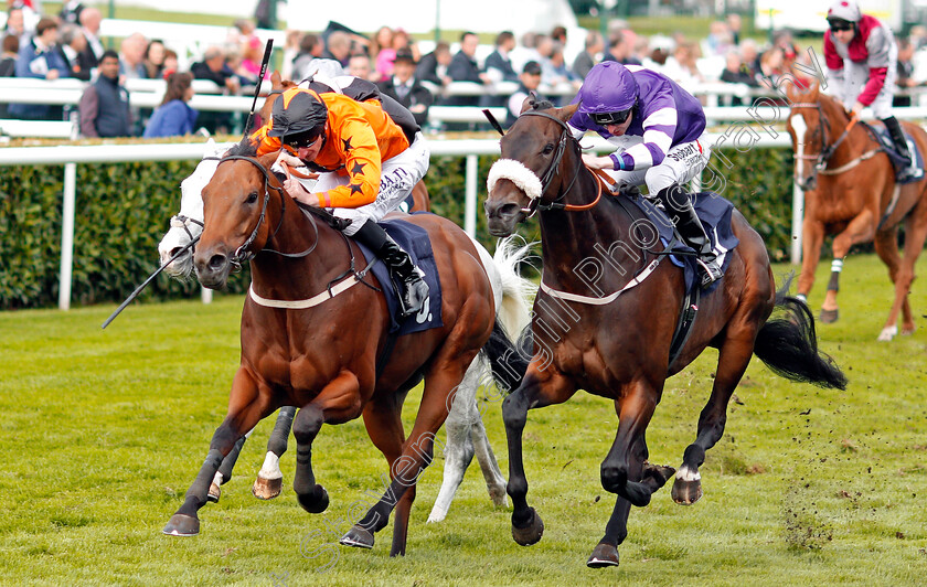 Dougan-and-Muntadab-0002 
 DOUGAN (left, Adam Kirby) and MUNTADAB (right) Doncaster 15 Sep 2017 - Pic Steven Cargill / Racingfotos.com