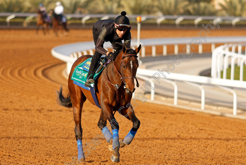 Country-Grammer-0006 
 COUNTRY GRAMMER training for The Saudi Cup
King Abdulaziz Racecourse, Kingdom Of Saudi Arabia, 23 Feb 2023 - Pic Steven Cargill / Racingfotos.com