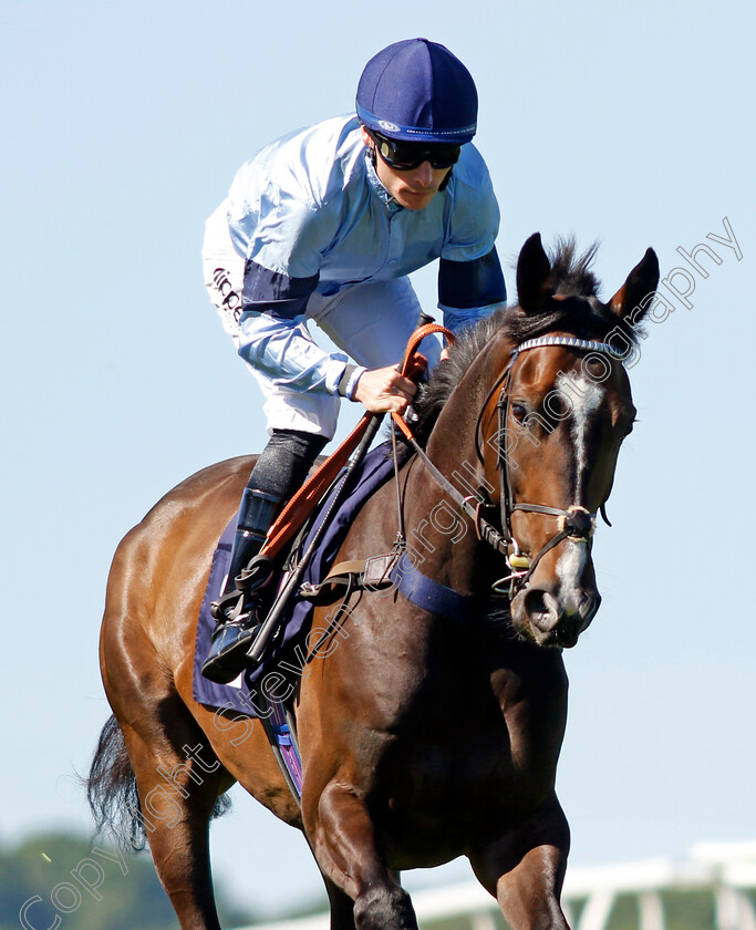 Coolnaugh-Haze-0002 
 COOLNAUGH HAZE (Kieran Shoemark)
Chepstow 27 May 2022 - Pic Steven Cargill / Racingfotos.com