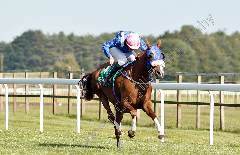 Thamaraat-0003 
 THAMARAAT (Stephen Harrison) wins The Al Gheesah Beach Handicap for Purebred Arabians
Bath 3 Jul 2019 - Pic Steven Cargill / Racingfotos.com