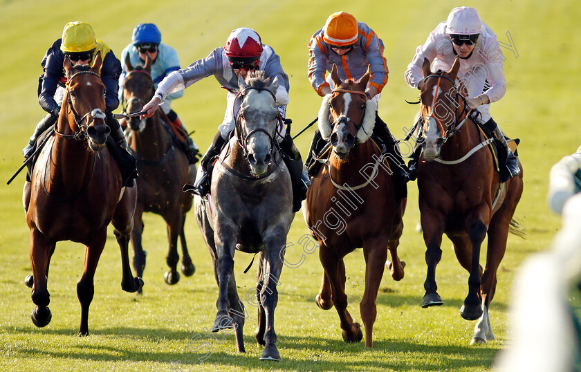 Nefarious-0003 
 NEFARIOUS (centre, Dane O'Neill) beats DULAS (left) and BREANSKI (right) in The Close Brothers Premium Finance Handicap
Newmarket 19 Sep 2020 - Pic Steven Cargill / Racingfotos.com