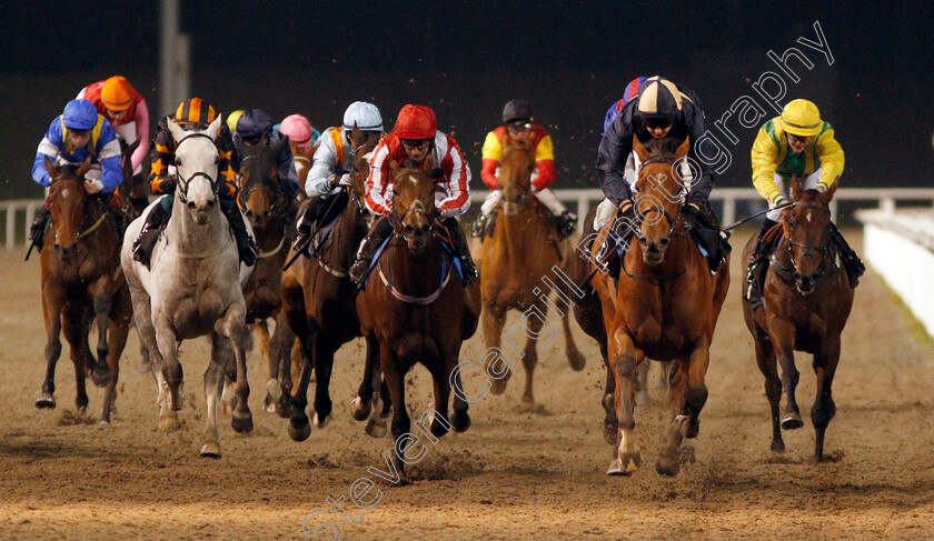 Lucky-Turn-0002 
 LUCKY TURN (Hayley Turner) wins The Fluid Business Coaching Handicap
Chelmsford 28 Nov 2019 - Pic Steven Cargill / Racingfotos.com