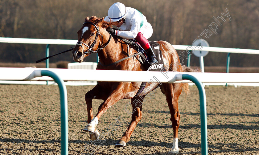 Wissahickon-0009 
 WISSAHICKON (Frankie Dettori) wins The Betway Winter Derby Stakes
Lingfield 23 Feb 2019 - Pic Steven Cargill / Racingfotos.com