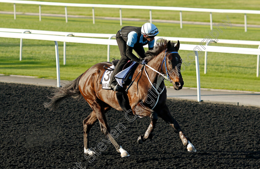 Meishar-0002 
 MEISHAR training at the Dubai World Cup Carnival
Meydan 5 Jan 2023 - Pic Steven Cargill / Racingfotos.com