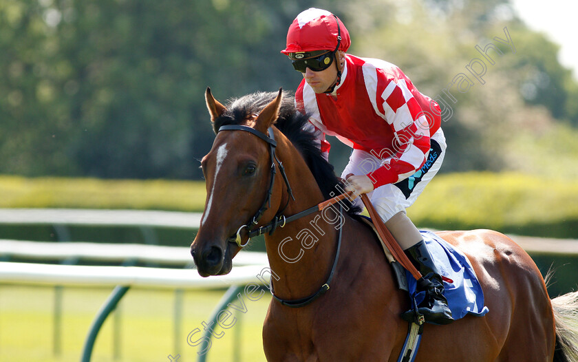 Mayfair-Spirit-0001 
 MAYFAIR SPIRIT (Stevie Donohoe)
Nottingham 22 May 2018 - Pic Steven Cargill / Racingfotos.com