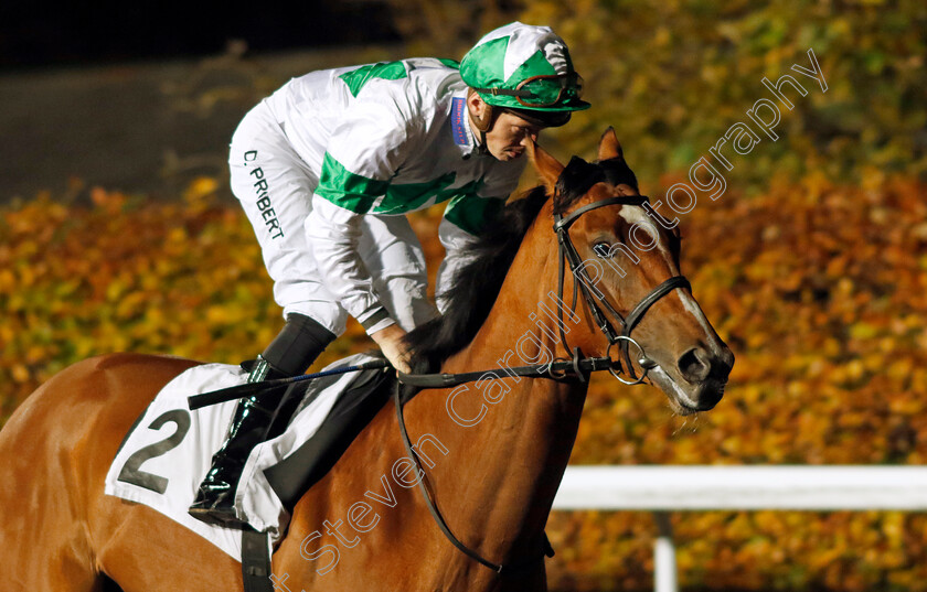 Cherry-Burton-0001 
 CHERRY BURTON (David Probert)
Kempton 15 Nov 2023 - Pic Steven Cargill / Racingfotos.com