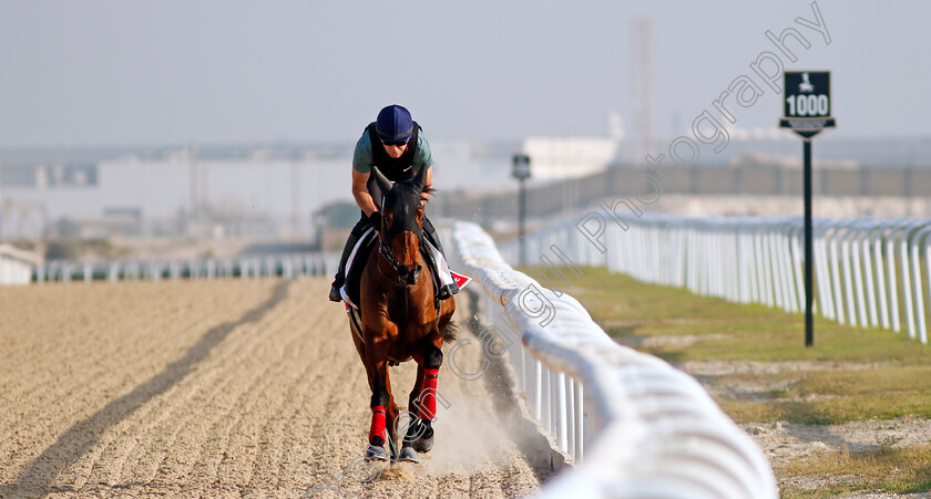 Andromede-0002 
 ANDROMEDE training for the Bahrain International Trophy
Kingdom of Bahrain 14 Nov 2024 - Pic Steven Cargill / Racingfotos.com