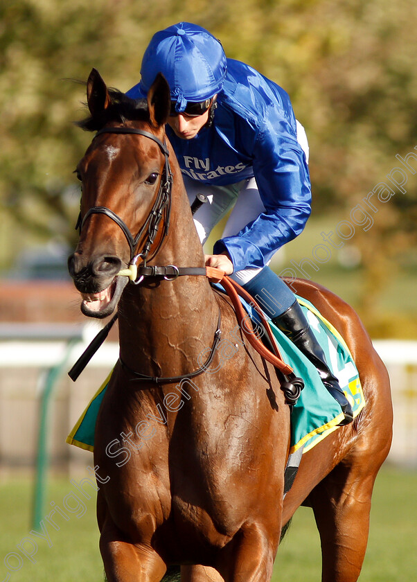 Beyond-Reason-0001 
 BEYOND REASON (William Buick)
Newmarket 12 Oct 2018 - Pic Steven Cargill / Racingfotos.com