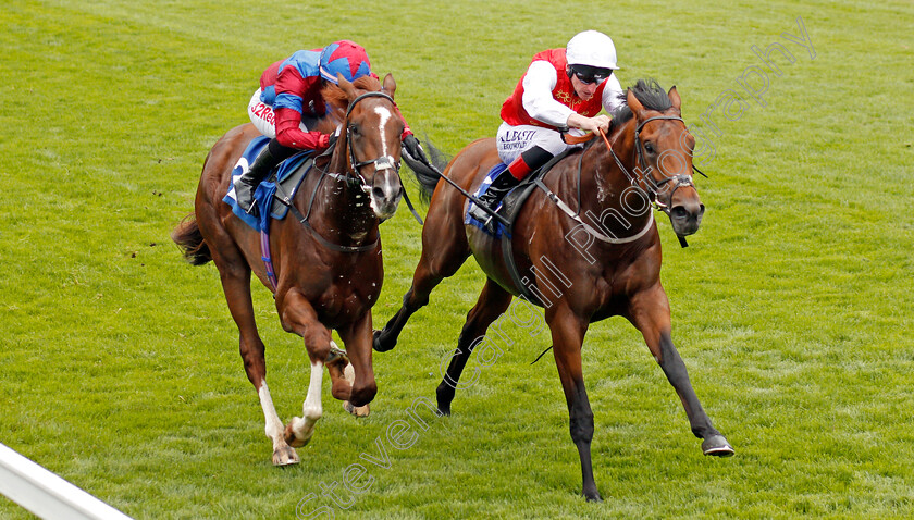 Al-Jellaby-0003 
 AL JELLABY (right, Adam Kirby) beats WHITE MOCHA (left) in The Frank Murray Memorial EBF Novice Stakes Salisbury 7 Sep 2017 - Pic Steven Cargill / Racingfotos.com