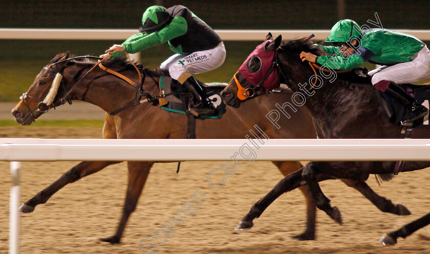 Deeds-Not-Words-0003 
 DEEDS NOT WORDS (Kieran O'Neill) beats TILSWORTH ROSE (right) in The Book Tickets At chelmsfordcityracecourse.com Classified Stakes
Chelmsford 11 Jan 2020 - Pic Steven Cargill / Racingfotos.com