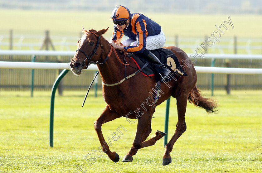 Garrel-Glen-0004 
 GARREL GLEN (Louis Steward) wins The Shepherd Compello & EPG Fillies Novice Median Auction Stakes Div2
Newmarket 24 Oct 2018 - Pic Steven Cargill / Racingfotos.com