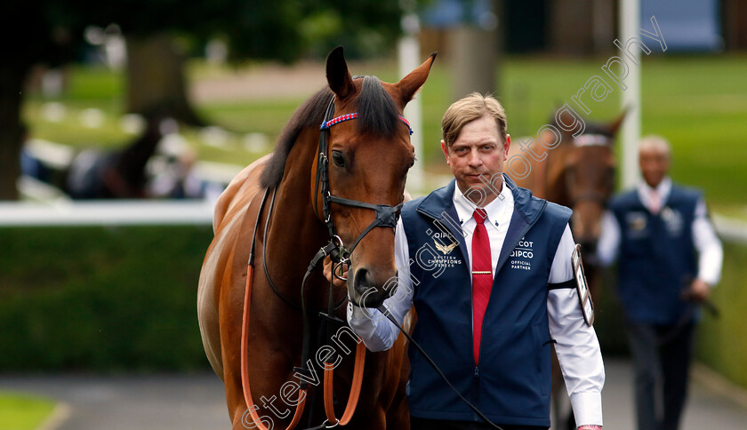 Dubai-Honour-0001 
 DUBAI HONOUR 
Ascot 27 Jul 2024 - Pic Steven Cargill / Racingfotos.com