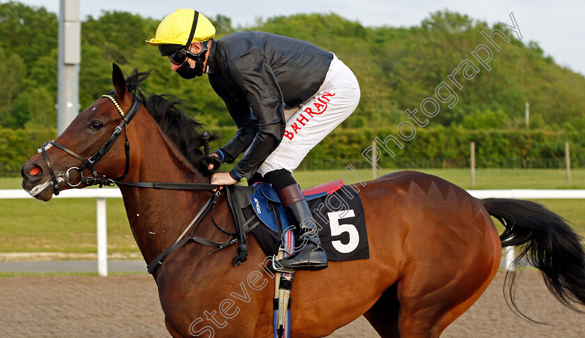 Flaunt-0001 
 FLAUNT (Robert Havlin)
Chelmsford 3 Jun 2021 - Pic Steven Cargill / Racingfotos.com