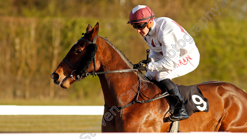 Mawkeb-0002 
 MAWKEB (Tom Marquand) winner of The Woodford Reserve Handicap
Chelmsford 31 mar 2022 - Pic Steven Cargill / Racingfotos.com