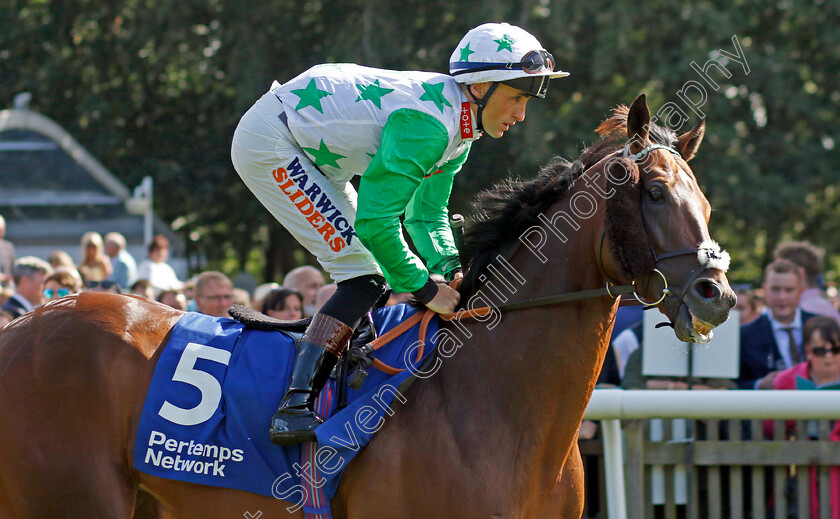 Run-To-Freedom-0001 
 RUN TO FREEDOM (Trevor Whelan)
Newmarket 15 Jul 2023 - Pic Steven Cargill / Racingfotos.com