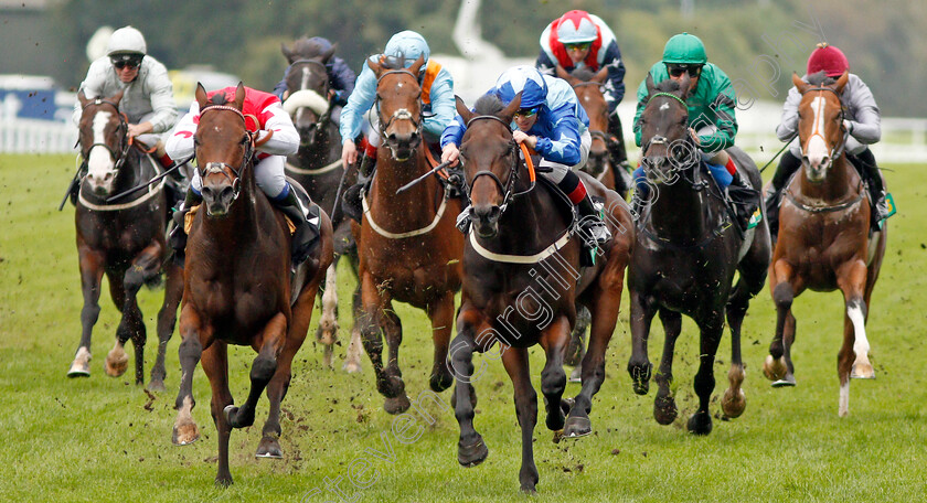 Kynren-0001 
 KYNREN (centre, Ben Curtis) beats GREENSIDE (left) in The bet365 Challenge Cup 
Ascot 5 Oct 2019 - Pic Steven Cargill / Racingfotos.com