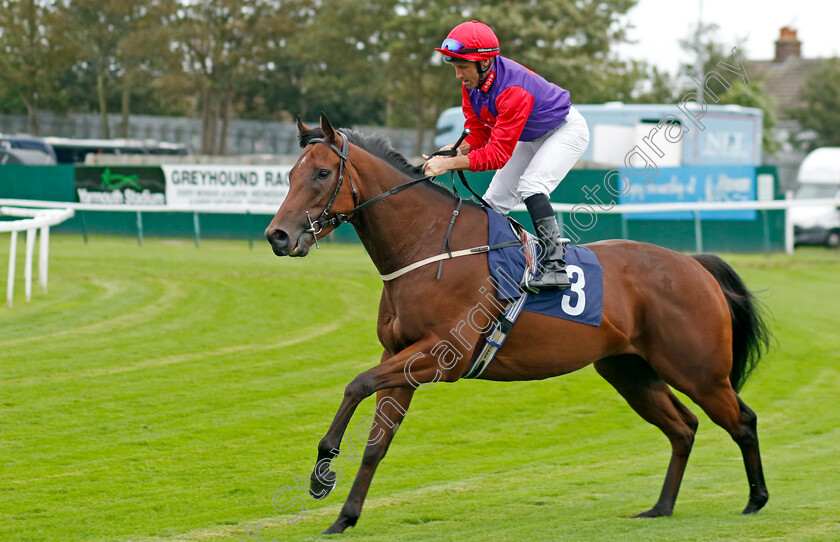 Level-Up-0001 
 LEVEL UP (Neil Callan)
Yarmouth 19 Sep 2023 - Pic Steven Cargill / Racingfotos.com