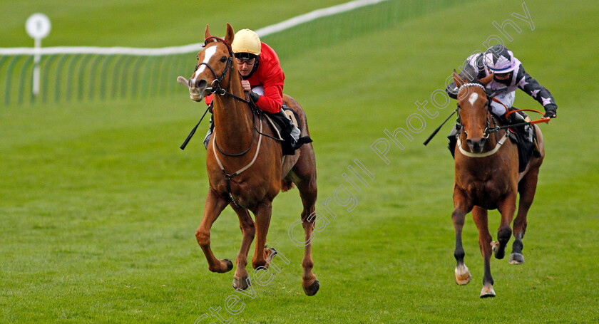 Awake-My-Soul-0004 
 AWAKE MY SOUL (Tom Queally) beats DOLPHIN VISTA (right) in The Play 3-2-Win At Mansionbet Handicap
Newmarket 30 Oct 2020 - Pic Steven Cargill / Racingfotos.com