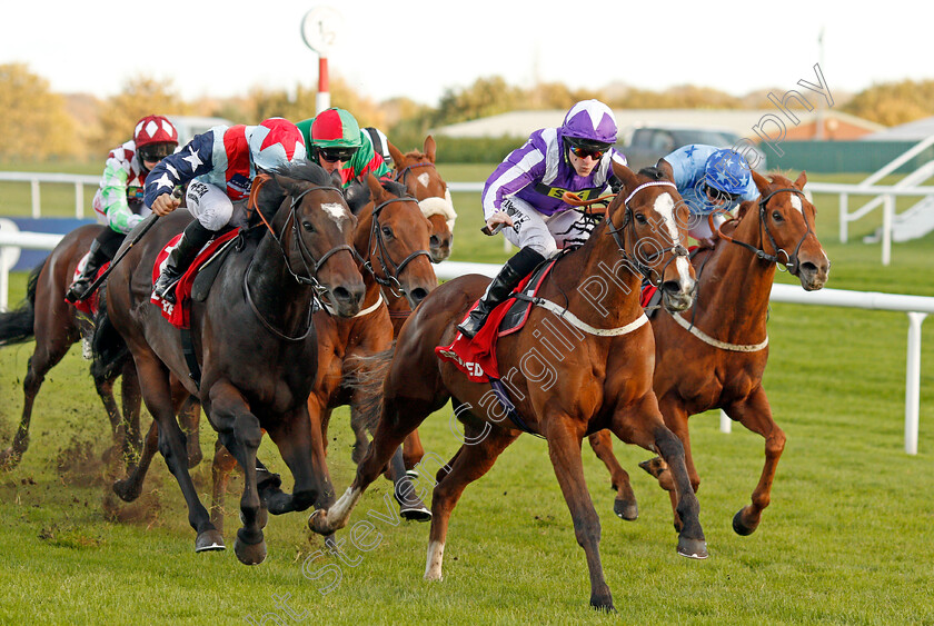 Speculative-Bid-0002 
 SPECULATIVE BID (left, Sean Levey) beats SHADY MCCOY (right) in The Betfred Supports Jack Berry House Handicap Doncaster 11 Nov 2017 - Pic Steven Cargill / Racingfotos.com