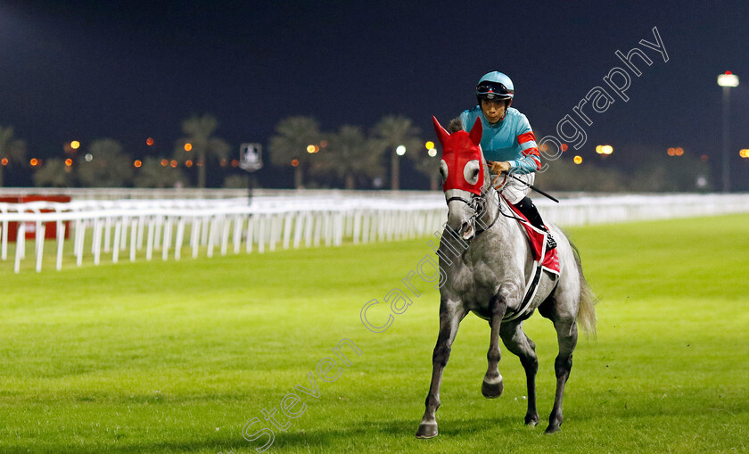 Yamanin-Sympa-0001 
 YAMANIN SYMPA (Taisei Danno)
Kingdom of Bahrain 15 Nov 2024 - Pic Steven Cargill / Racingfotos.com