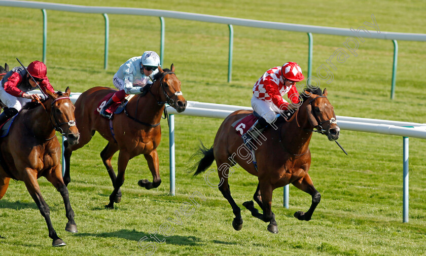 Gorak-0004 
 GORAK (Neil Callan) wins The Betfred Hattrick Heaven New Boston Handicap
Haydock 27 May 2023 - Pic Steven Cargill / Racingfotos.com