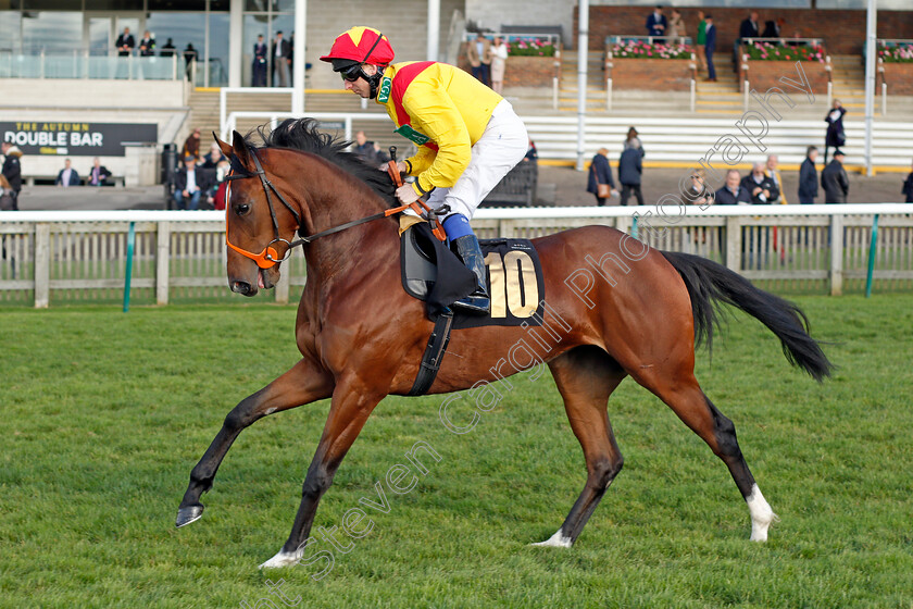 Kissininthebackrow 
 KISSININTHEBACKROW (Martin Dwyer)
Newmarket 30 Oct 2021 - Pic Steven Cargill / Racingfotos.com