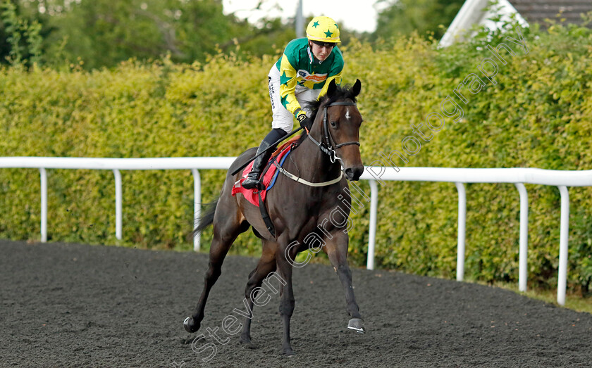 Tequila-Rose-0002 
 TEQUILA ROSE (Saffie Osborne)
Kempton 16 Jul 2024 - Pic Steven Cargill / Racingfotos.com