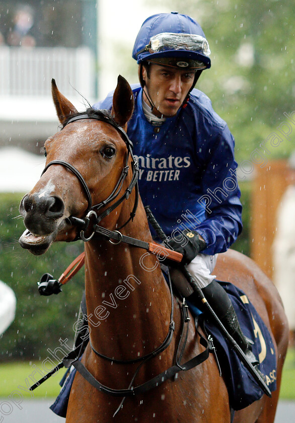 Final-Song-0001 
 FINAL SONG (Christophe Soumillon)
Royal Ascot 19 Jun 2019 - Pic Steven Cargill / Racingfotos.com