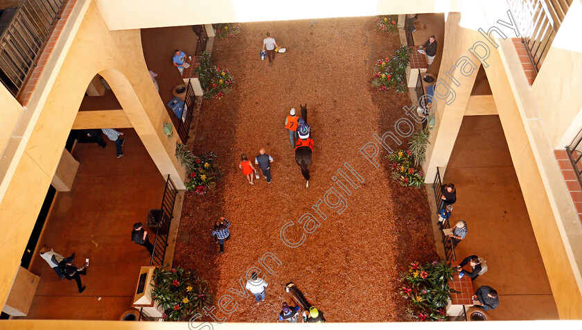 Del-Mar-0004 
 Horses heading out to the track for a race at Del Mar 2 Nov 2017 - Pic Steven Cargill / Racingfotos.com