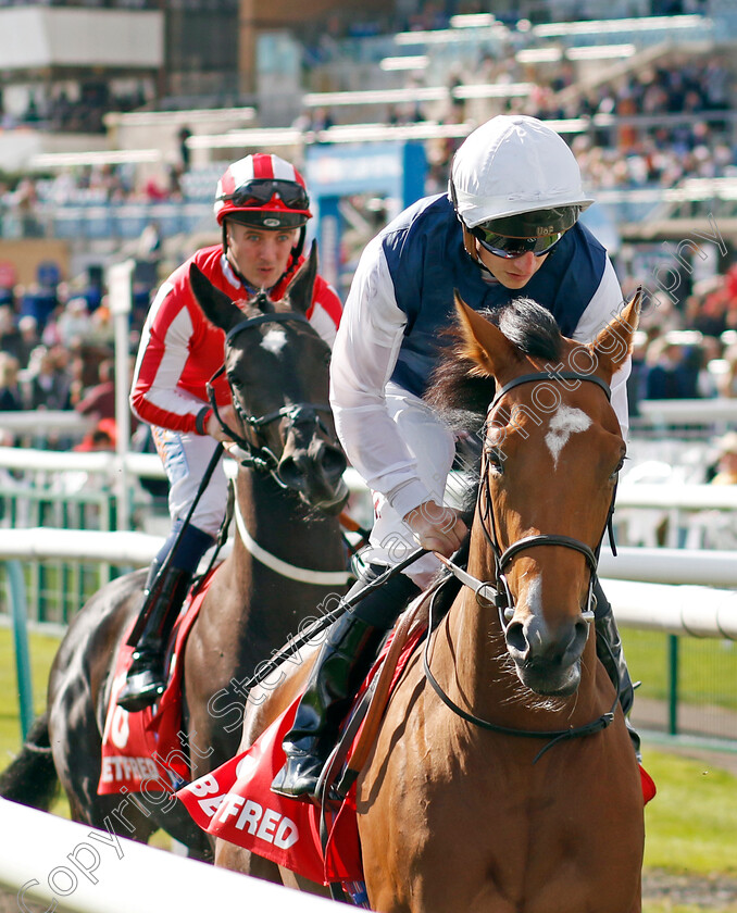 Miss-Tonnerre-0002 
 MISS TONNERRE (Tom Marquand)
Doncaster 12 Sep 20234 - Pic Steven Cargill / Racingfotos.com