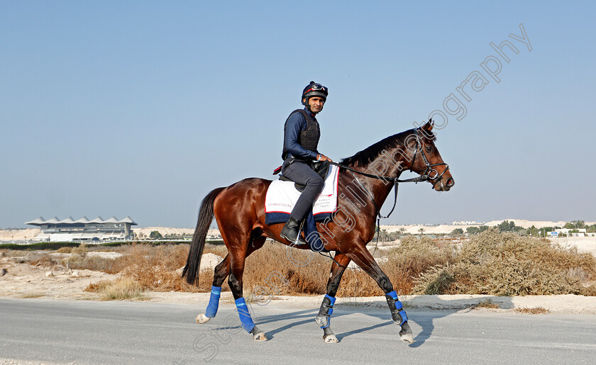 Global-Giant-0006 
 GLOBAL GIANT training for the Bahrain International Trophy
Rashid Equestrian & Horseracing Club, Bahrain, 19 Nov 2020 - Pic Steven Cargill / Racingfotos.com