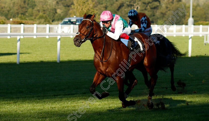 Sunray-Major-0001 
 SUNRAY MAJOR (Frankie Dettori) wins The Berkshire Search & Rescue Dogs Handicap
Ascot 1 Oct 2021 - Pic Steven Cargill / Racingfotos.com