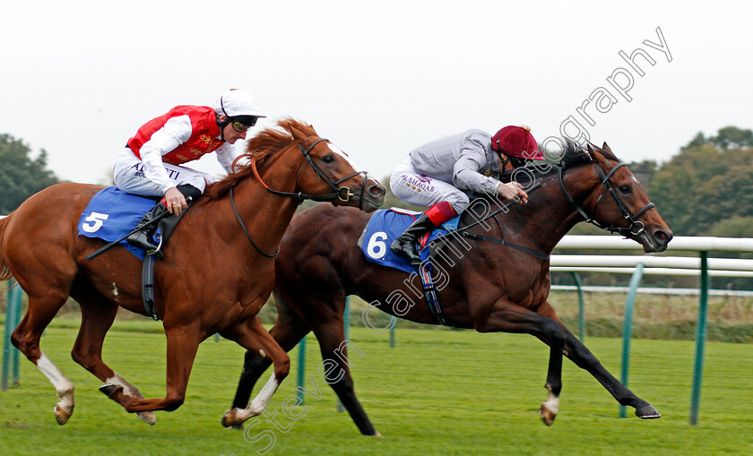 Msayyan-0005 
 MSAYYAN (Frankie Dettori) beats GHAZAN (left) in The Kier Construction EBF Maiden Stakes Nottingham 18 Oct 2017 - Pic Steven Cargill / Racingfotos.com