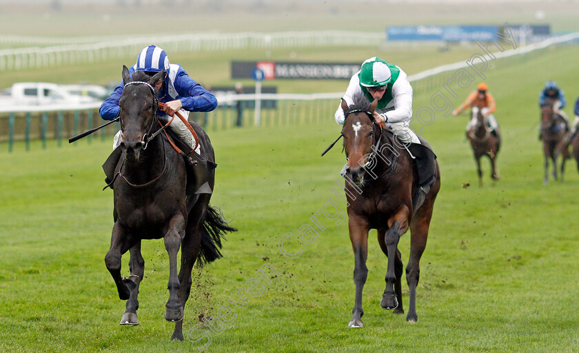 Mutasaabeq-0002 
 MUTASAABEQ (Dane O'Neill) wins The Download The Mansionbet App Novice Stakes
Newmarket 21 Oct 2020 - Pic Steven Cargill / Racingfotos.com