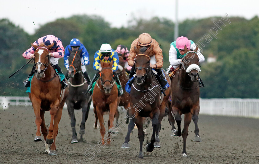 Cognisance-0003 
 COGNISANCE (2nd right, Tom Marquand) beats HELLO MISS LADY (left) and LEADMAN (right) in The Unibet Support Safe Gambling Novice Stakes Div2
Kempton 28 Aug 2024 - Pic Steven Cargill / Racingfotos.com