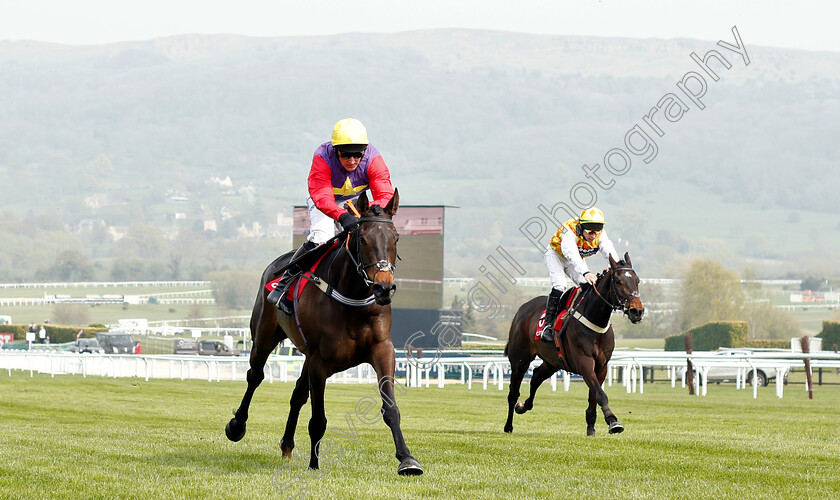 Dashel-Drasher-0006 
 DASHEL DRASHER (Matt Griffiths) wins The Citipost Novices Hurdle
Cheltenham 17 Apr 2019 - Pic Steven Cargill / Racingfotos.com