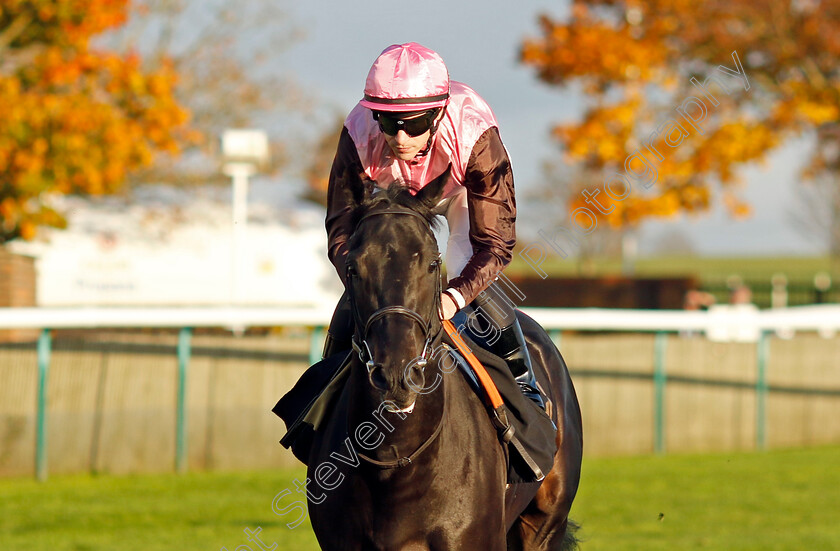 I-Am-I-Said-0007 
 I AM I SAID (Richard Kingscote) winner of The British Stallion Studs EBF Future Stayers Novice Stakes
Newmarket 23 Oct 2024 - Pic Steven Cargill / Racingfotos.com