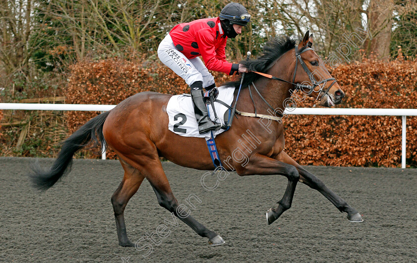 Havergate-Island-0001 
 HAVERGATE ISLAND (William Carson)
Kempton 16 Feb 2021 - Pic Steven Cargill / Racingfotos.com