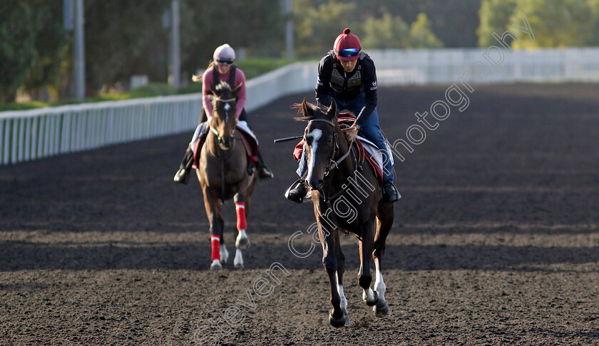 Sky-Hawk-0002 
 SKY HAWK training at the Dubai Racing Carnival 
Meydan 2 Jan 2025 - Pic Steven Cargill / Racingfotos.com