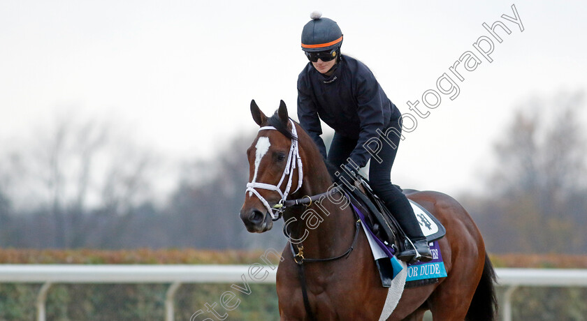 Major-Dude-0001 
 MAJOR DUDE training for the Breeders' Cup Juvenile Turf
Keeneland, USA 31 Oct 2022 - Pic Steven Cargill / Racingfotos.com