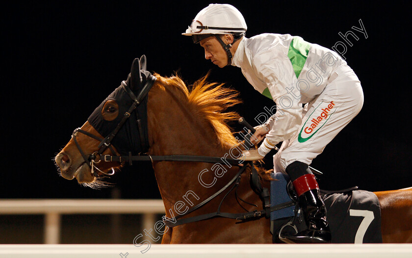 Lisbet-0001 
 LISBET (Shane Kelly)
Chelmsford 19 Nov 2019 - Pic Steven Cargill / Racingfotos.com