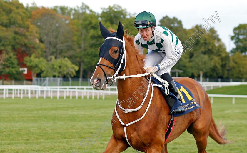 Hard-One-To-Please-0008 
 HARD ONE TO PLEASE (Pat Cosgrave) winner of The Stockholm Cup International
Bro Park, Sweden 18 Sep 2022 - Pic Steven Cargill / Racingfotos.com