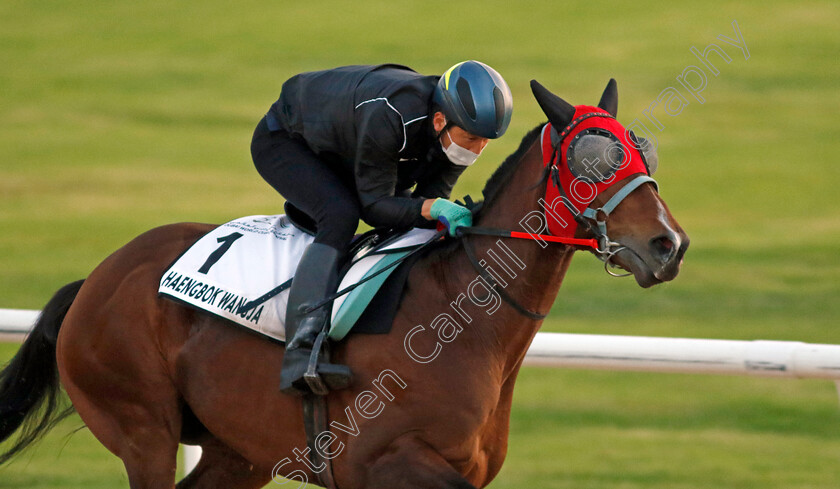 Haengbok-Wangja-0001 
 HAENGBOK WANGJA training at the Dubai World Cup Carnival
Meydan 5 Jan 2023 - Pic Steven Cargill / Racingfotos.com