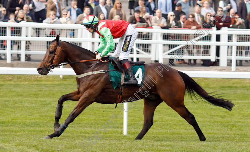 Le-Patriote-0006 
 LE PATRIOTE (Sam Twiston-Davies) wins The Kingston Stud Handicap Hurdle
Cheltenham 17 Apr 2019 - Pic Steven Cargill / Racinfotos.com