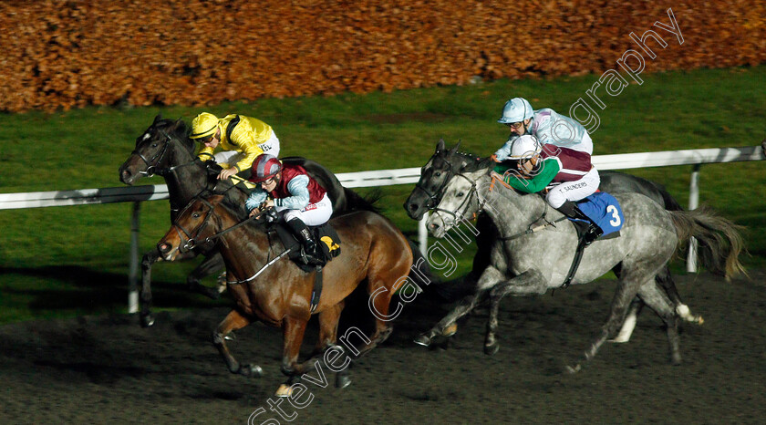 Bella-Brazil-0001 
 BELLA BRAZIL (Hollie Doyle) beats BAADIRR (yellow) and LETHAL TALENT (right) in The 32Red Nursery Handicap
Kempton 27 Nov 2019 - Pic Steven Cargill / Racingfotos.com