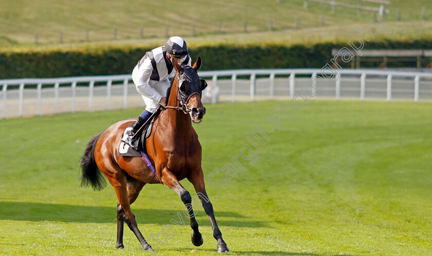 Victory-Chime-0001 
 VICTORY CHIME (Hector Crouch) winner of The Best of British Events Foundation Stakes
Goodwood 22 Sep 2021 - Pic Steven Cargill / Racingfotos.com