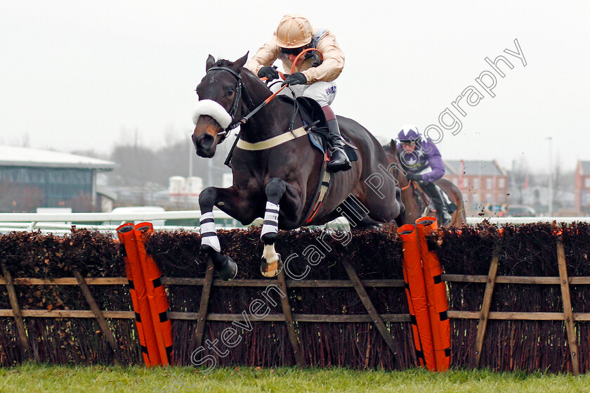 Dame-Rose-0001 
 DAME ROSE (Richard Johnson) wins The Ladbrokes Mares Novices Hurdle Newbury 2 Dec 2017 - Pic Steven Cargill / Racingfotos.com