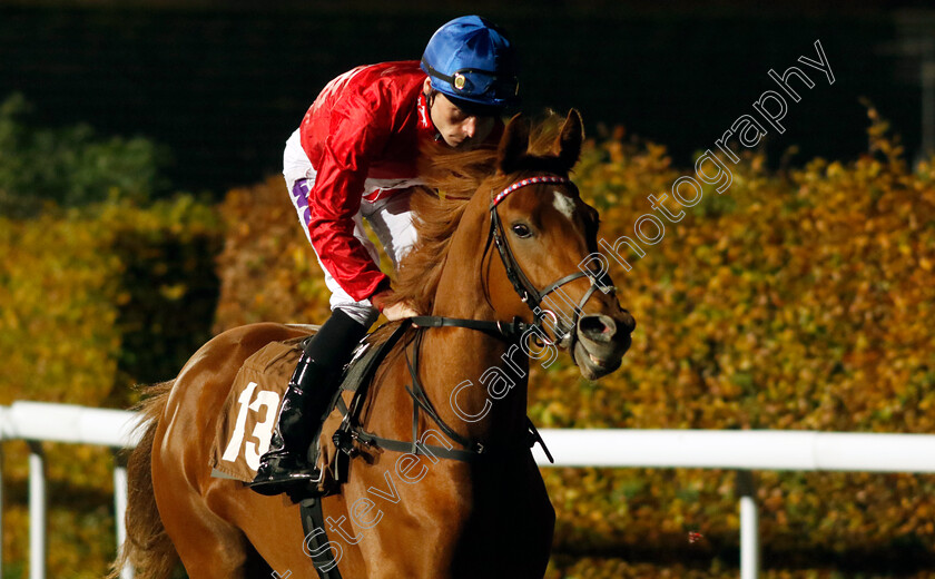 Uplift-0002 
 UPLIFT (Kieran Shoemark)
Kempton 15 Nov 2023 - Pic Steven Cargill / Racingfotos.com